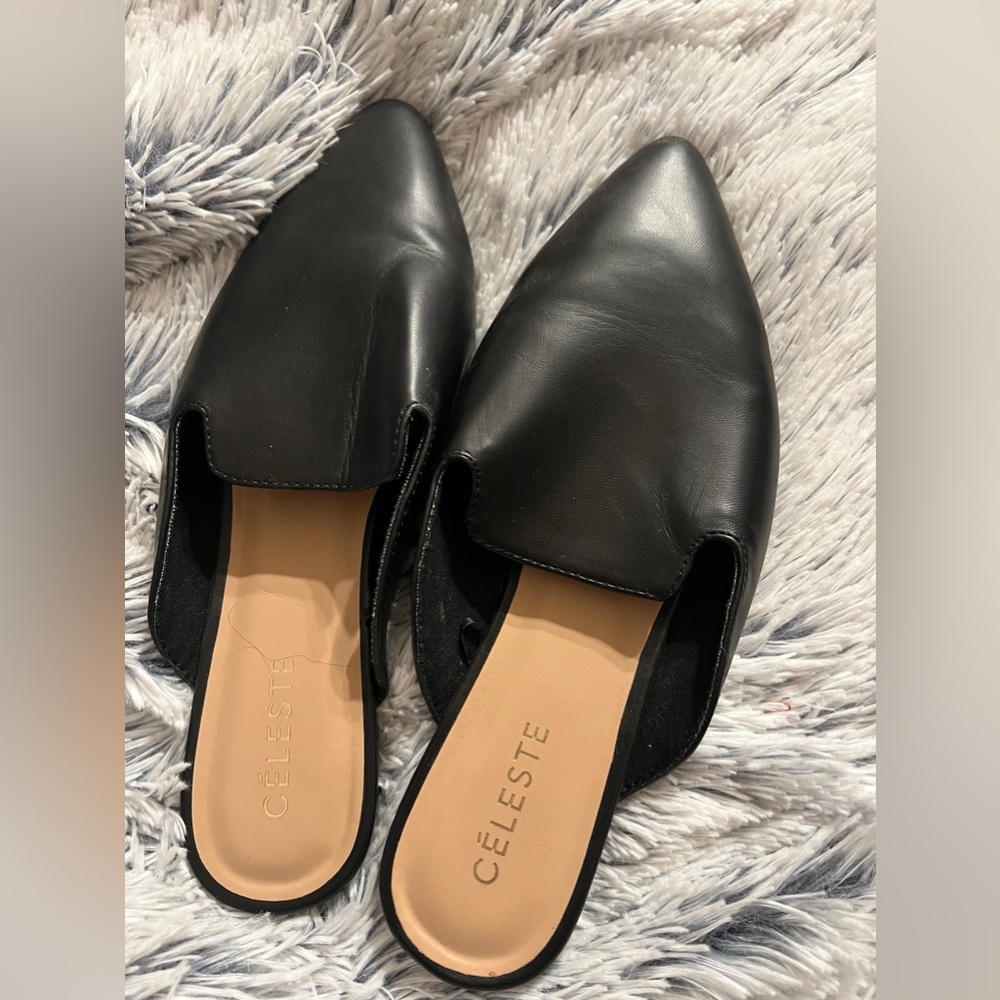 Pointed toe flat mules size 41 size chart says 10.5